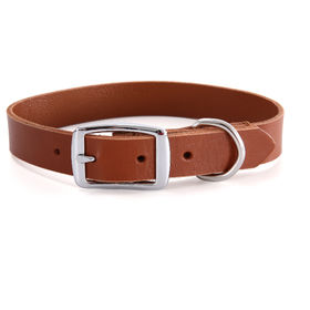 bulk leashes