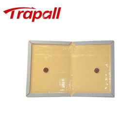 Wholesale Rat Glue Trap,Rat Glue Trap Manufacturer & Supplier from