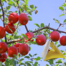 Vente en gros Tueurs De Mouches Des Fruits de produits à des prix