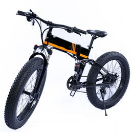 Hot Sale Mountain Electric Bicycle 