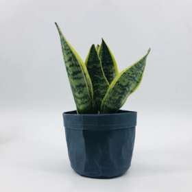 Pot de jardin en tissu non tissé lavable en papier kraft - Sacs de culture