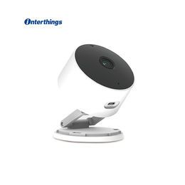 strigidae camera