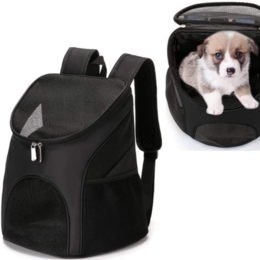 Buy Wholesale China Prodigen Pet Carrier Airline Approved Pet Carrier Dog  Carriers For Small Dogs, Cat Carriers For Medium Cat Small Cat,small Pet  Car & Pet Carrier Bags at USD 5.5