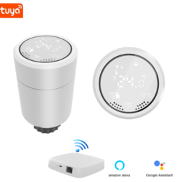 Smart WiFi termostato de calefacción de agua de caldera de gas de ahorro de  energía de RF inalámbricos Controlador de temperatura de trabajo con Tuya  Google termostato ambiente Alexa - China WiFi