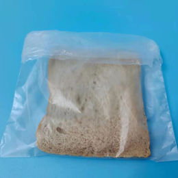 Sandwich Bags - Shop Flip Top & Ziplock, Wholesale Prices