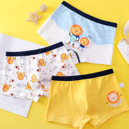 Buy Wholesale China Comfortable Silk Cartoon Cute Boys Underwear Wholesale  Boy Kids Underwear & Kids Underwear at USD 0.7