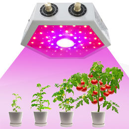 Lampes de culture pour plantes d'intérieur, lumières de plantes à spectre  complet pour la culture en intérieur, lumière de croissance LED réglable en  hauteur avec base, lampe de croissance avec minuterie automatique