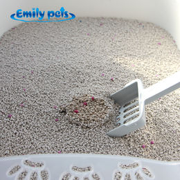 Buy Bentonite Clay Cat Litter In Bulk From China Suppliers