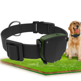 Pet best sale tracker 360