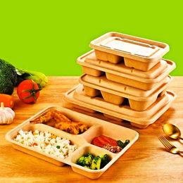 Wholesale Disposable Lunch Box Manufacturer and Supplier, Factory
