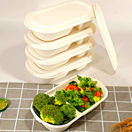 Disposable Container KG Plast has latest facility to produce thermoformed  food packaging disposable i…