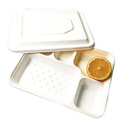 Compre Platos Desechables Biodegradables De Pla, Venta Caliente, 5  Compartimentos, Bandeja De Comida De Bagazo De Caña De Azúcar y Caña  Biodegradable Comida Compartimento Bandeja de China por 0.0013 USD