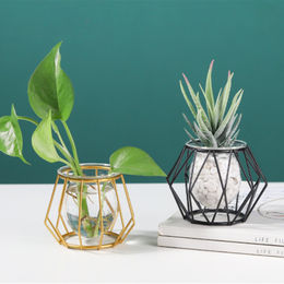 Polygon Black Metal Glass Clear Pots For Plants Led Terrarium Supplies -  Buy China Wholesale Polygon Black Metal Glass Terrarium $19.9