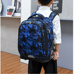 https://p.globalsources.com/IMAGES/PDT/S1185827543/trolley-school-bags.jpg