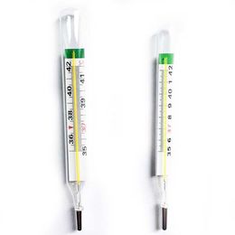 Buy Wholesale China Factory Price Home Used Clinical Glass Thermometer Oral  Mercury Thermometer Small Size & Oral Mercury Thermometer at USD 0.48