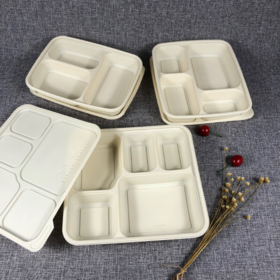 https://p.globalsources.com/IMAGES/PDT/S1185960123/Disposable-food-containers.png