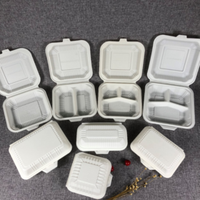 https://p.globalsources.com/IMAGES/PDT/S1185960142/Disposable-food-containers.png