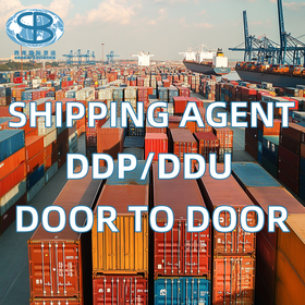 Seabay Logistics Services China Professional Ocean Sea Freight Forwarder to USA worldwide Shipping Agent