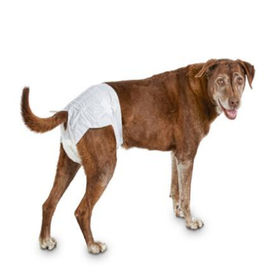 female dog diapers for poop