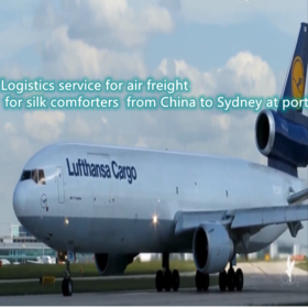 lufthansa bolsagage tracking