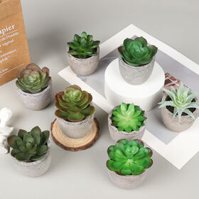 rectangular plant pots indoor Rectangular Flower Pot 20