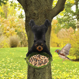 Mangeoire oiseaux l'épreuve écureuils décoration jardin