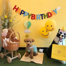 Premium Happy Birthday Banner Cute Party Decorations for Boys Girls Adults Indoor Outdoor Home Celebration Supplies