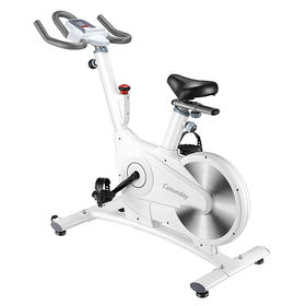 Fortis magnetic spin bike hot sale