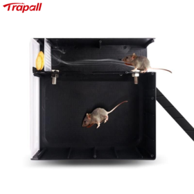 Piège à rongeurs réutilisable, contrôle des souris et des rats