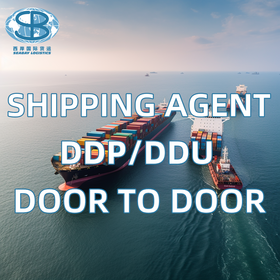 China To USA Australia Canada Pakistan Shipping Agent Air Sea With Best Shipping Agent Services For Agent Drop Shipping