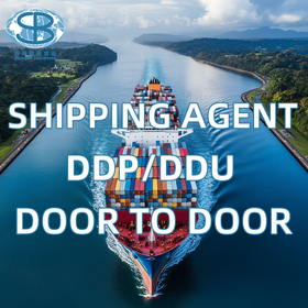 Seabay Logistics China Shenzhen Purchasing Agent & Freight Forwarder Services DDP FCL to New Zealand Sea Shipping