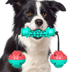 https://p.globalsources.com/IMAGES/PDT/S1187716263/pet-chew-toy.jpg