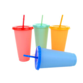 Bestseller Wasserflasche BPA-frei Heißer Verkauf Günstige 24oz Bunte Plastik PP Trinkbecher mit Deckel und Strohhalm