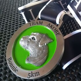 Preciosa medalla para perro para el equipo Akobe, medalla de corredor, chapa identificativa para perro