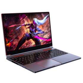 Wholesale 16.1 Inch i7-10870H//i9-10885H 32GB RAM 1TB SSD 4GB GTX1650 Gaming Laptop