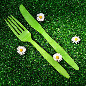 Wholesale Biodegradable & Disposable Cutlery Supplier & Factory - Lesui