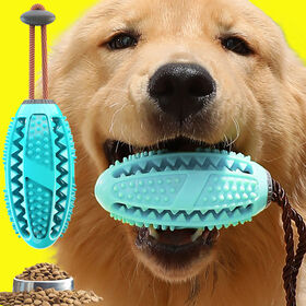 Rawhide chew best sale toys