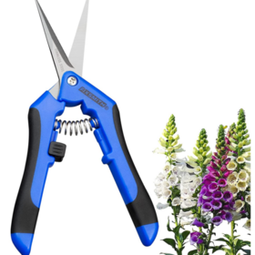 https://p.globalsources.com/IMAGES/PDT/S1188813068/Gardening-Hand-Pruner.png