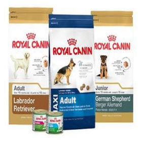 bulk buy royal canin