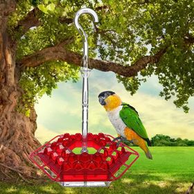Acheter Mangeoire pour oiseaux sauvages à l'extérieur, mangeoire suspendue  anti-écureuil pour jardin, Patio, décoration extérieure