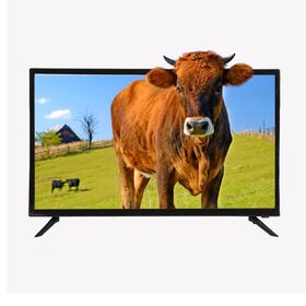 Compre Gsd Popular Tamaño Pequeño 24 Pulgadas Led Tv y 24 Pulgadas Led Tv  de China por 41 USD