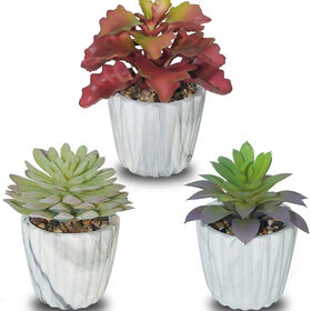 Small Cactus Planter Plant Pot Window Box for Home Office Table Desktop Decoration For Family Birthday Wedding Christmas MuciHom 7CM Mini Succulent Pot with Bamboo Tray Set of 6