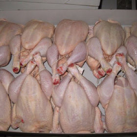 Buy Wholesale South Africa Wholesale Halal Turkey Frozen /breast/ Wings/  Legs/ Available In Bulk/halal Fresh Frozen & Meat at USD 480