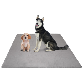 2 Pack Washable Puppy Training Pads – ULIGOTA