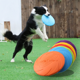 Kids Frisbee Toys Outdoor Play Lawn Playground Flyer, Pet Toys Round  Training, Soft Silicone (Bleu +