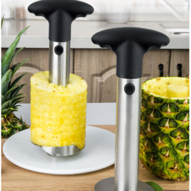 Buy Wholesale China Prepworks By Pineapple Corer Slicer Cutter