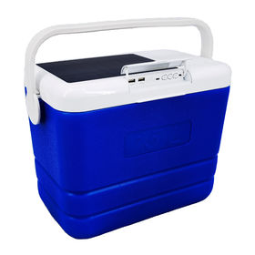 Buy China Wholesale 8l 28l 38l Wheeled Plastic Cooler Box For Vaccine,beer, food,fishing,bbq, Thermos Ice Chest Cooler & Blow Mould $40