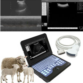 Scanner portatif pour animaux à ultrasons de grossesse vétérinaire - Chine  Scanner à ultrasons vétérinaire, échographe
