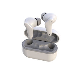 True Wireless ANC Earbuds V5.1 Active Noise Cancellation Bluetooth Multi-point for Sports HD Voice