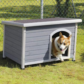 Dog kennels sale for sale 10x10x6